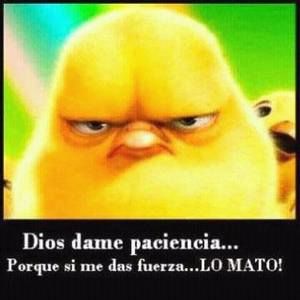 Meet your Posher, Dennis